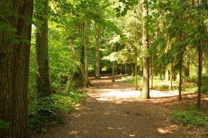 Het Korenburgerveen