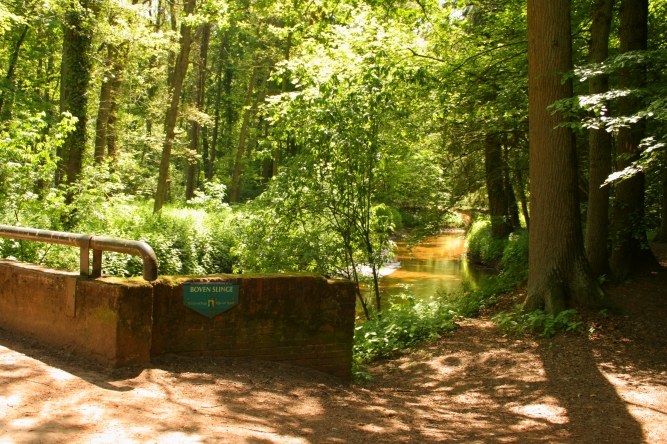 Het bos om de hoek