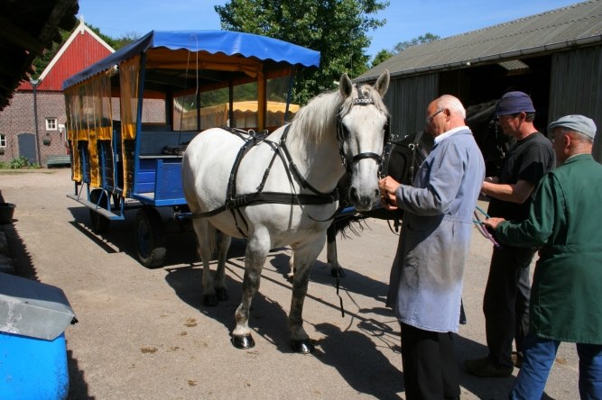 Inspannen van de paarden