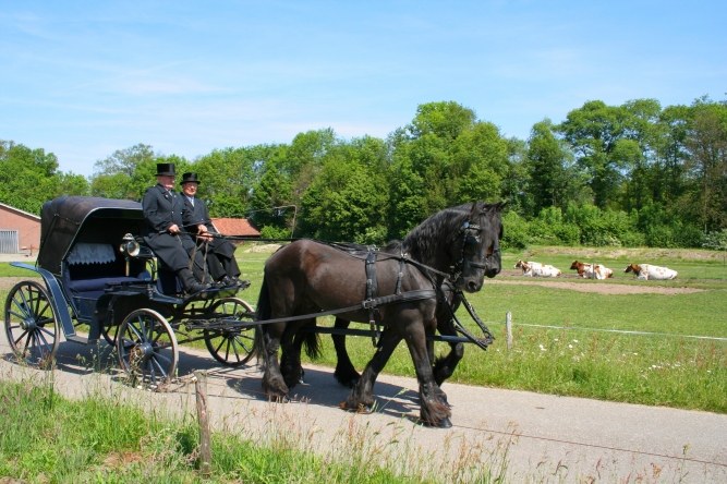 Stalhouderij Samberg